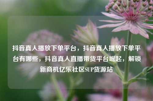 抖音真人播放下单平台，抖音真人播放下单平台有哪些	，抖音真人直播带货平台崛起，解锁新商机亿乐社区SUP货源站  第1张