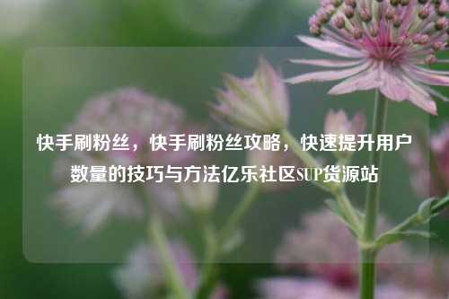 快手刷粉丝	，快手刷粉丝攻略，快速提升用户数量的技巧与方法亿乐社区SUP货源站  第1张